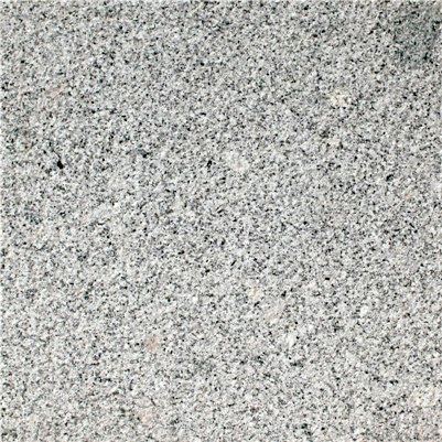 ֥���1#����֦��