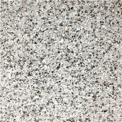 �����񣨻����